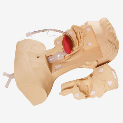 高级吸痰练习模型