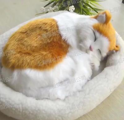 认知症舒压抚慰疗愈套装