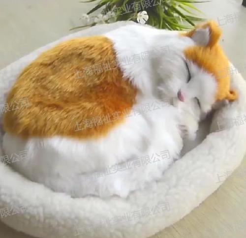 认知症舒压抚慰疗愈套装