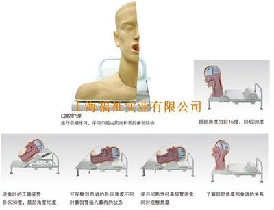 高级吞咽机制模型